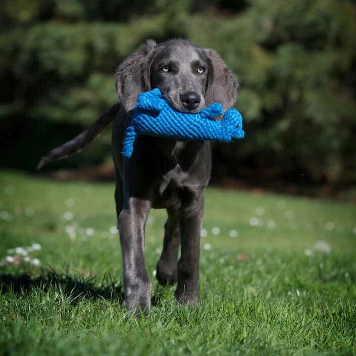 PLELA02179S - Lelupaketti #1 - Kurt, Emma, Kalmari - Muotitassu