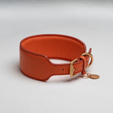 COLLARE-SH-XXS-TO - Mario - Vinttikoiran nappanahkainen kaulapanta - Tangerine orange - Muotitassu