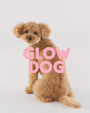 Villakoiranpentu ja Glow Dog -vitamiinishampoo