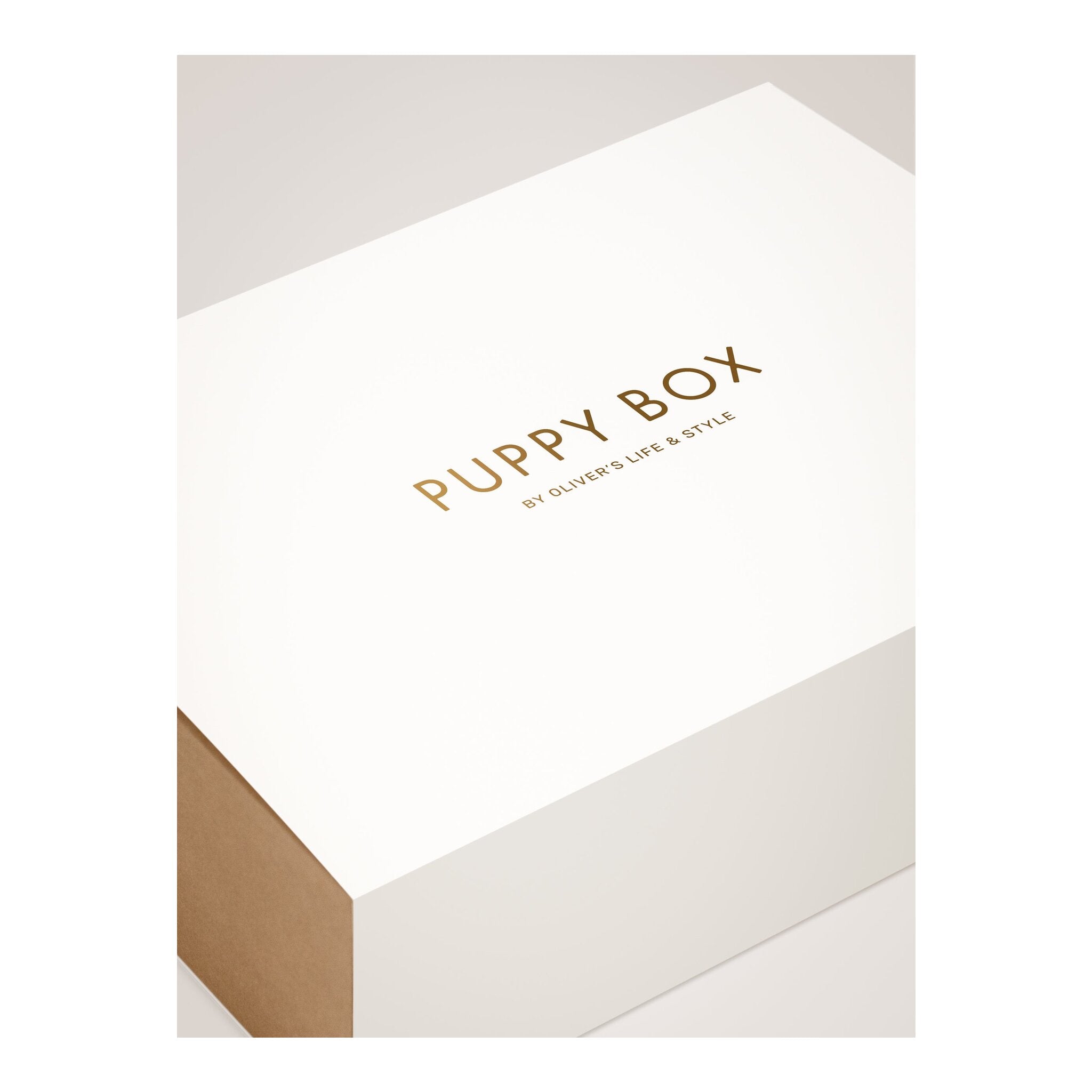 Puppy Box -pentupakkaus laatikko