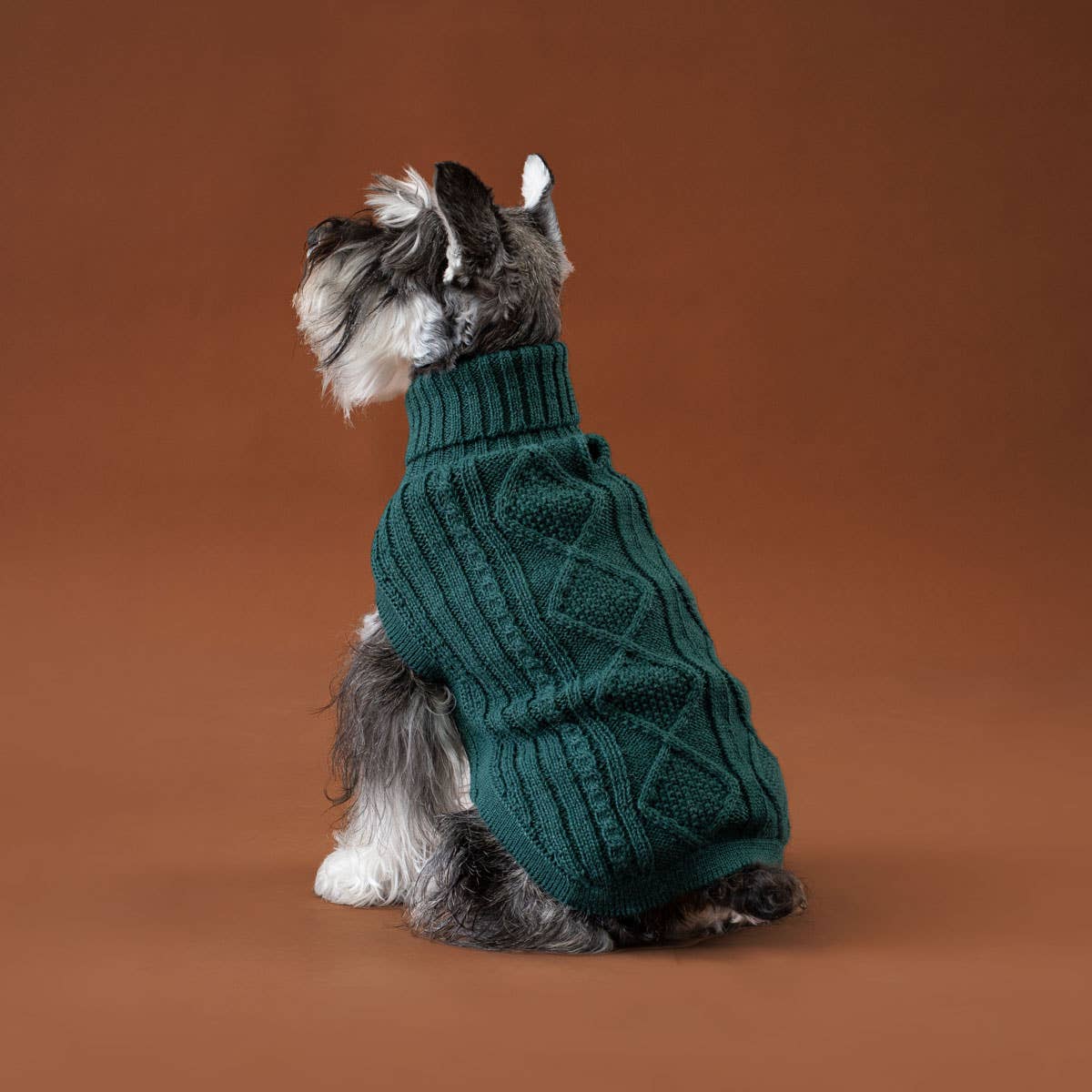 PEMAL05911S - Emerald Green Aran koiran alpakkaneule - M - Muotitassu