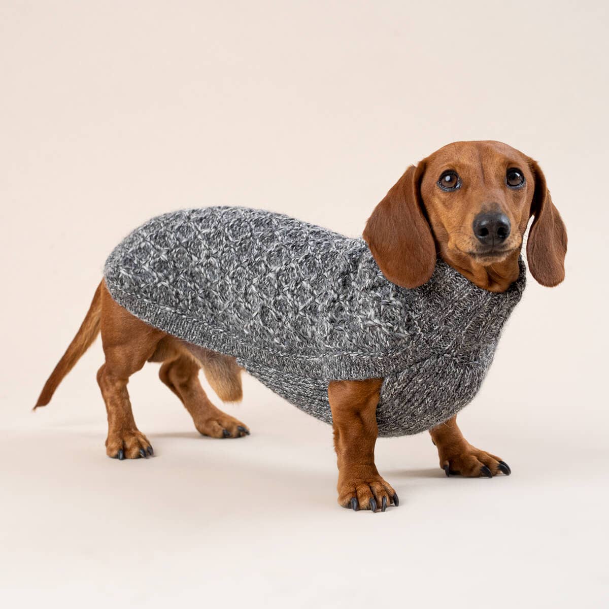 PSAAL05915S - Salt & Pepper Knit 100% koiran alpakkaneule - S - Muotitassu