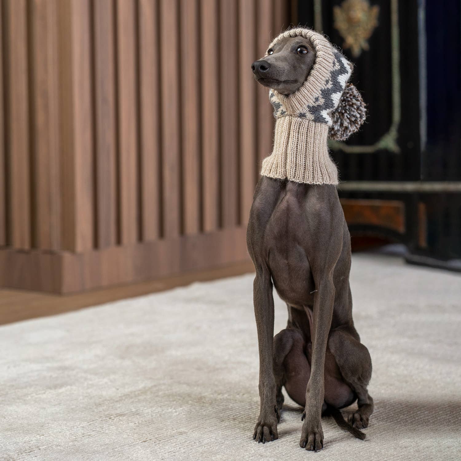 PWOAL05925S - Woolly Winter koiran alpakkapipo - S - Muotitassu