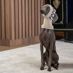 PWOAL05925S - Woolly Winter koiran alpakkapipo - S - Muotitassu