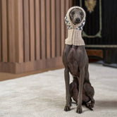 Alqo Wasi Woolly Winter koiran alpakkapipo - kuva 2