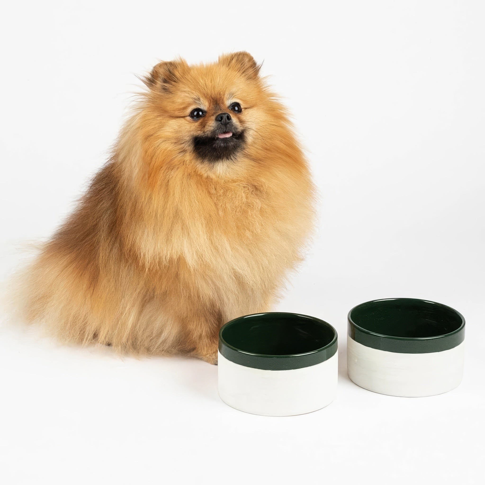 PRUDE05827S - Ruokakulho - Mateus x Denjo - Forest Green - Muotitassu