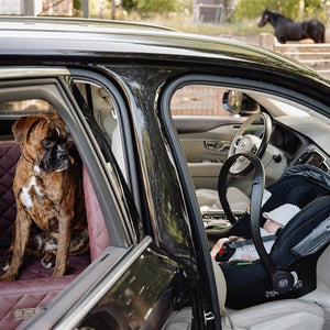 DogStyler Car Seat Excellent - Italian Bordeaux lifestyle