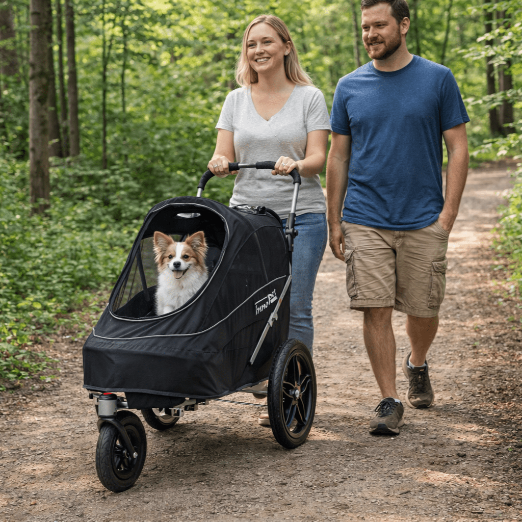 InnoPet Sporty EVR lemmikkirattaat
