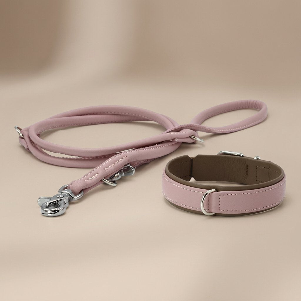 PAMLA00094S - Amici kaulapanta + hihna setti - Ruusu - XS - Muotitassu