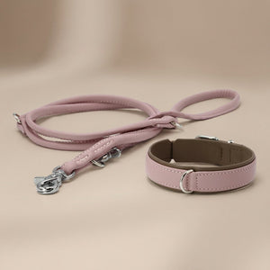 PAMLA00094S - Amici kaulapanta + hihna setti - Ruusu - XS - Muotitassu