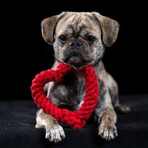 11110 - Hertha sydämen muotoinen lelu - Mini - Muotitassu