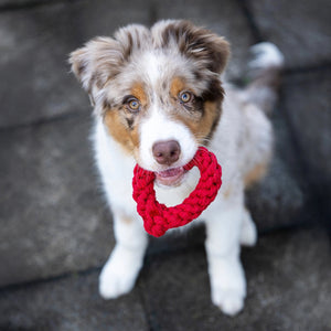 11110 - Hertha sydämen muotoinen lelu - Mini - Muotitassu