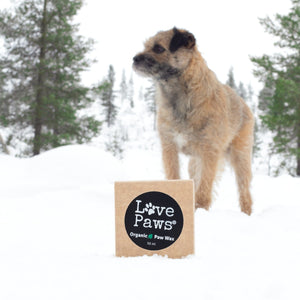 PLOLO05907S - LovePaws® luomu Tassuvaha - 50ml Musta pakkaus - Muotitassu