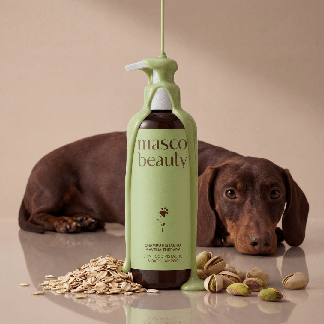 Pistaasi ja kaura -shampoo koiralle sekä kauraa ja pistaasipähkinöitä
