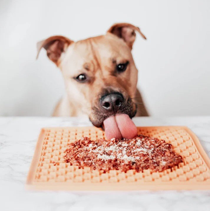 PTOMR05876S - Herkullinen lisuke koirille ja kissoille - Atlantin anjovis - Muotitassu