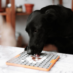 PTOMR05875S - Herkullinen lisuke koirille ja kissoille - Iberian sika - Muotitassu