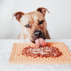 PTOMR05875S - Herkullinen lisuke koirille ja kissoille - Iberian sika - Muotitassu