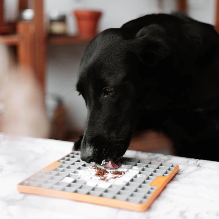 PTOMR05878S - Herkullinen lisuke koirille ja kissoille - Strutsi - Muotitassu