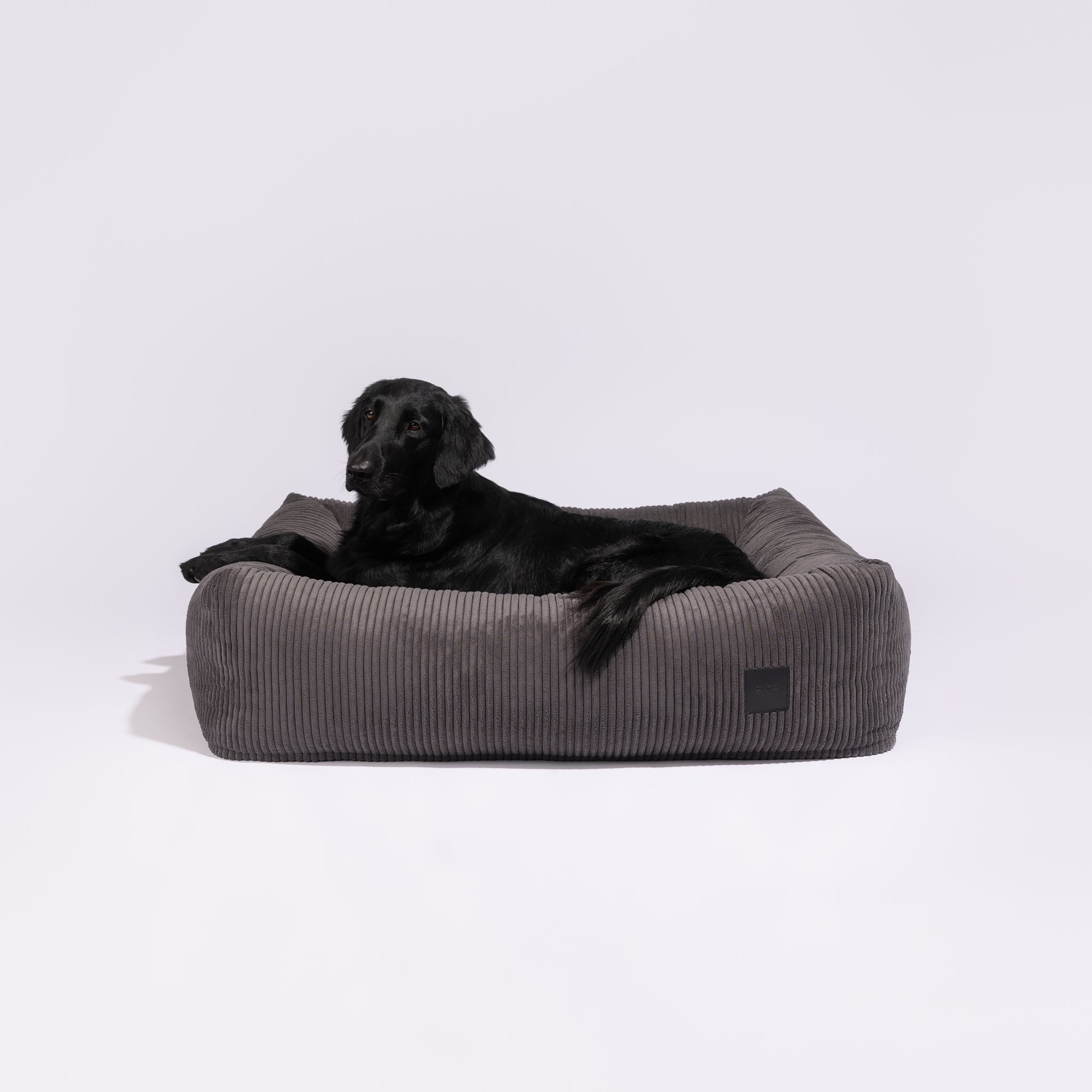 PDRPI05683S - Dream - Vakosametti - Anthracite - Muotitassu