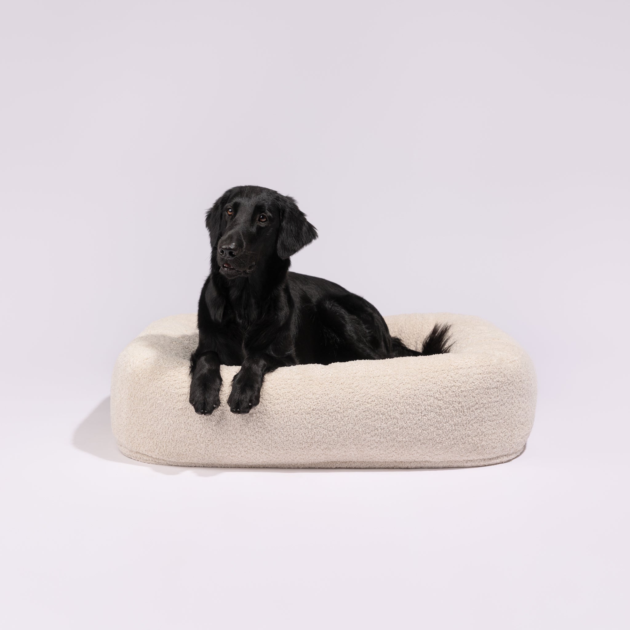 Pillow Villa Pebble Bouclé koiranpeti - kuva 4