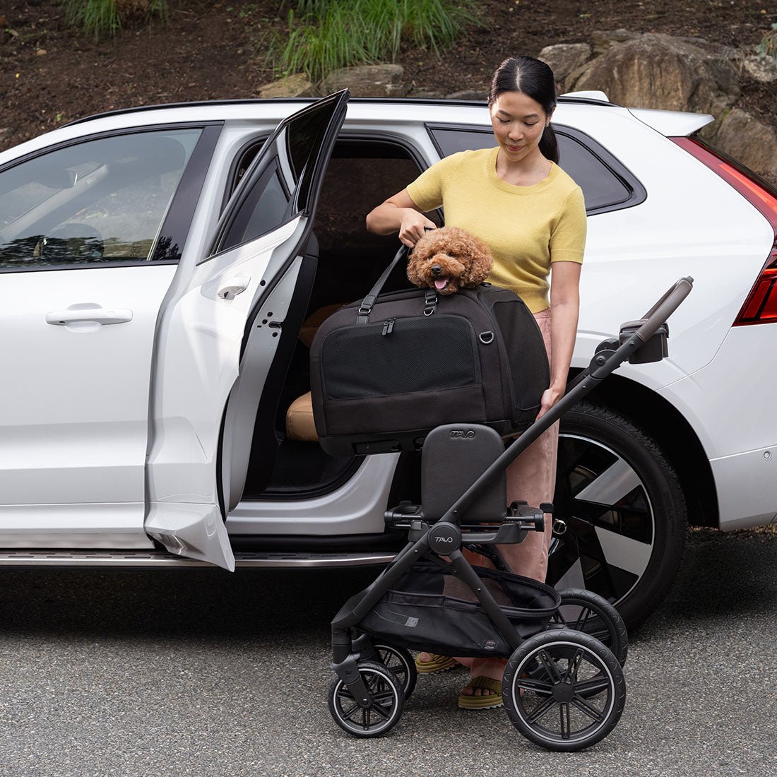 TC2417AAONX000 - Hendrick - Lemmikin ISOFIX turvaistuin ja kantolaukku - Onyx - Muotitassu