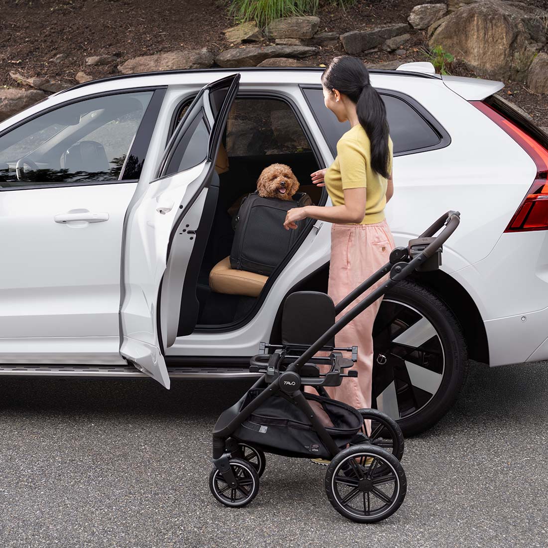 TC2417AAONX000 - Hendrick - Lemmikin ISOFIX turvaistuin ja kantolaukku - Onyx - Muotitassu