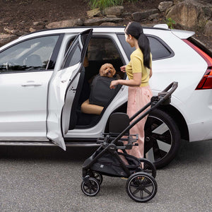 TC2417AAONX000 - Hendrick - Lemmikin ISOFIX turvaistuin ja kantolaukku - Onyx - Muotitassu