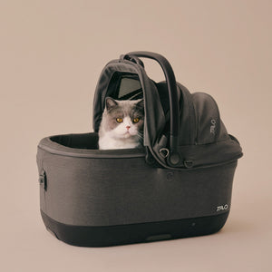 TC0010AAFAW000 - Maeve ISO Wind - Viilentävä lemmikin ISOFIX turvaistuin - Fawn - Muotitassu