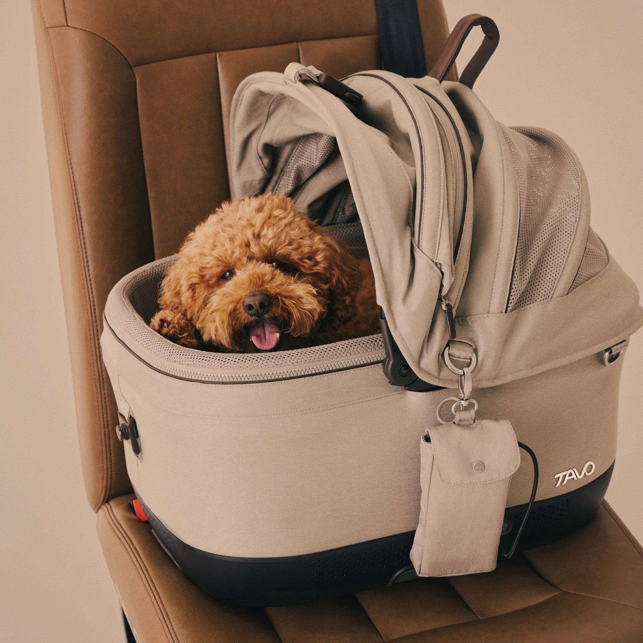 TC0010AAFAW000 - Maeve ISO Wind - Viilentävä lemmikin ISOFIX turvaistuin - Fawn - Muotitassu