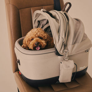 TC0010AAFAW000 - Maeve ISO Wind - Viilentävä lemmikin ISOFIX turvaistuin - Fawn - Muotitassu