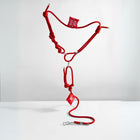 Party Red
