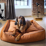 4101S-419 - Classic Buffalo koiranpeti - Vintage - Karamelli - Muotitassu