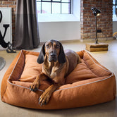 4101S-419 - Classic Buffalo koiranpeti - Vintage - Karamelli - Muotitassu